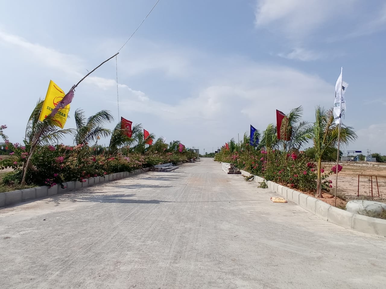 Avenue Plantation with Fresh Air – Bhoomisetu Free Resort Membership